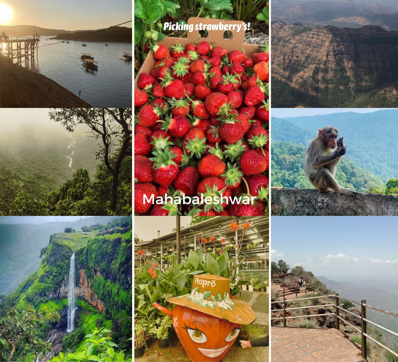 Mahabaleshwar Sightseeing